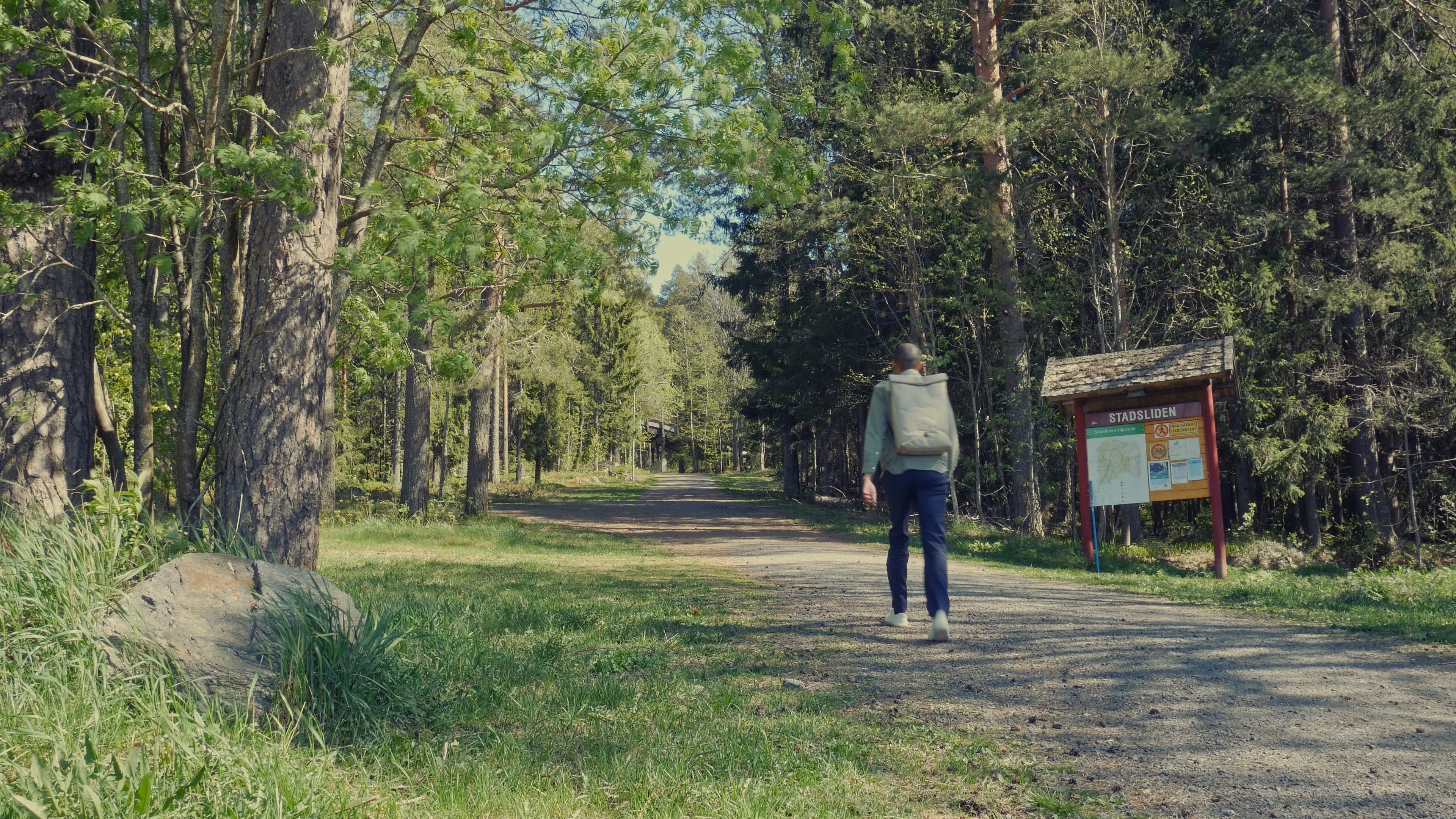 Why Stadsliden Forest in Umeå is Worth Visiting.